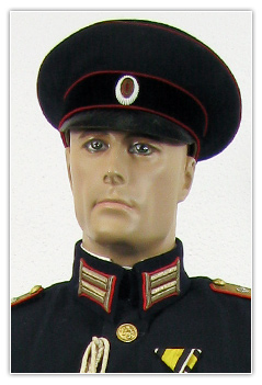 Officier capitaine arm&eacute;e de terre tenue de parade