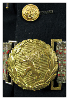 Officier capitaine arm&eacute;e de terre tenue de parade