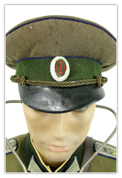 Officier colonel médecin