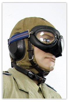 Pilote capitaine en tenue de vol