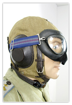 Pilote capitaine en tenue de vol